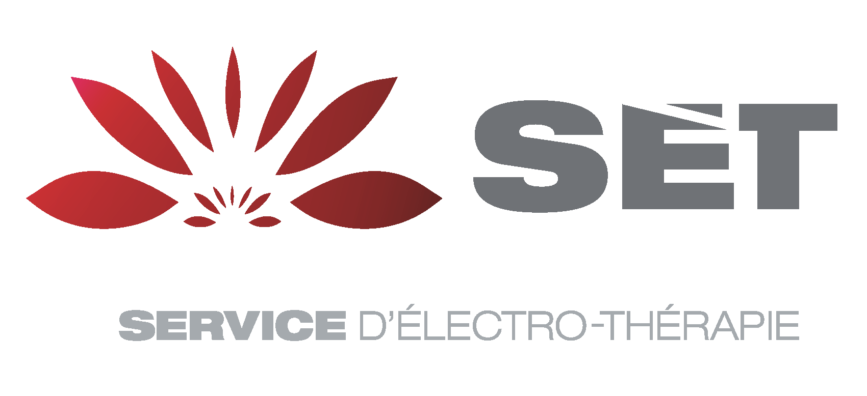 SET logo